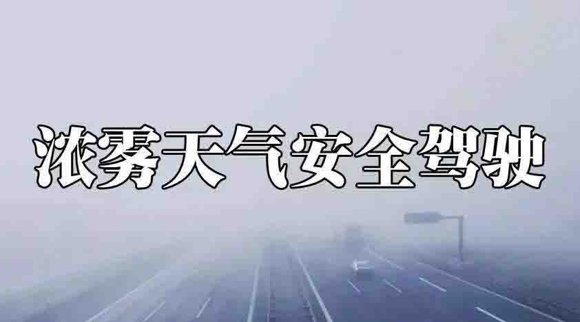 霧天行車注意事項一定要知道！