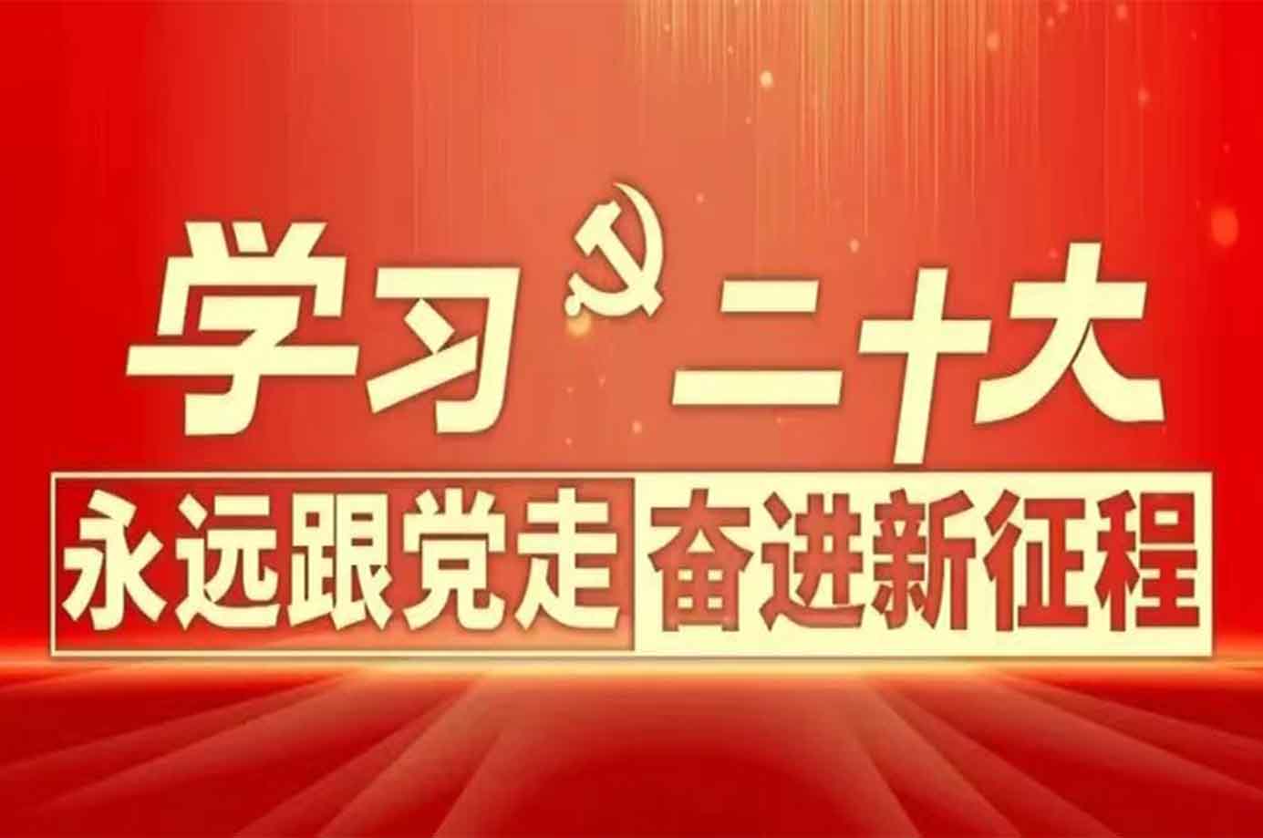 在黨建引領(lǐng)下不斷增強(qiáng)活力——黨的二十大精神進(jìn)“兩新”組織綜述